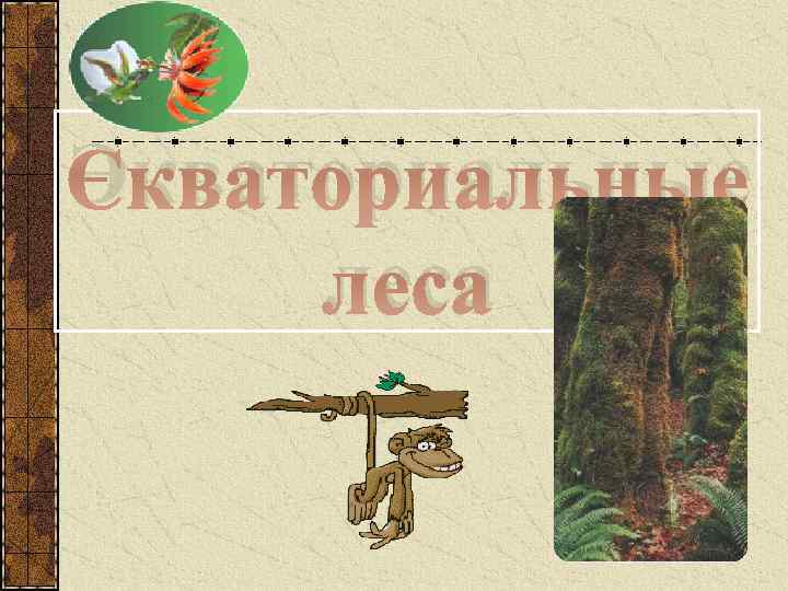 Экваториальные леса 