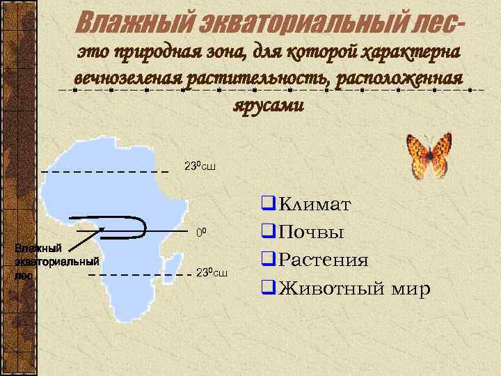 Влажный экваториальный лесэто природная зона, для которой характерна вечнозеленая растительность, расположенная ярусами 230 сш