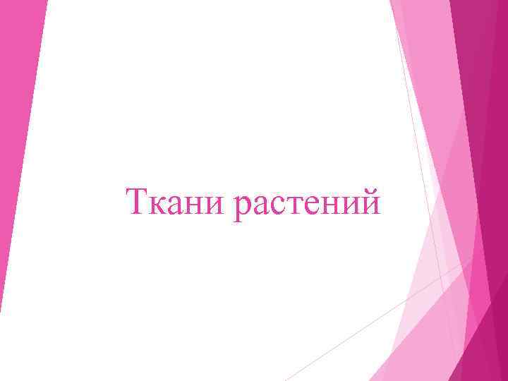 Ткани растений 