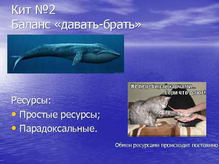 Кит № 2 Баланс «давать-брать» Ресурсы: • Простые ресурсы; • Парадоксальные. Обмен ресурсами происходит