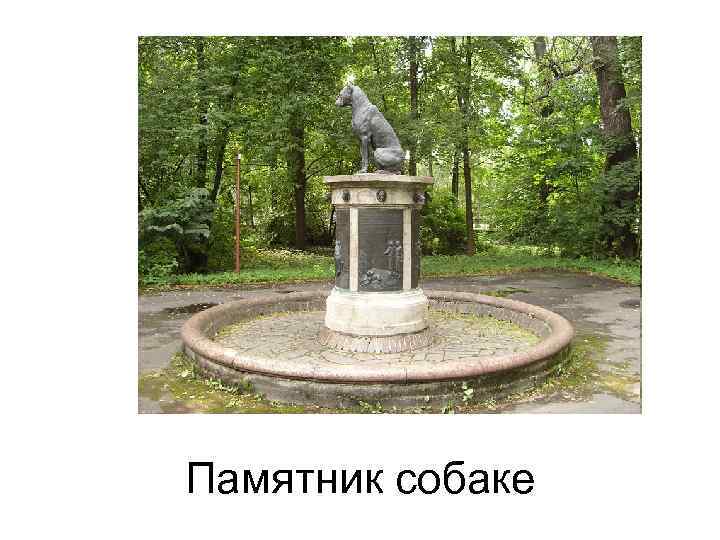 Памятник собаке 