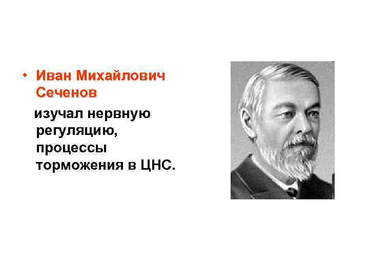  • Иван Михайлович Сеченов изучал нервную регуляцию, процессы торможения в ЦНС. 