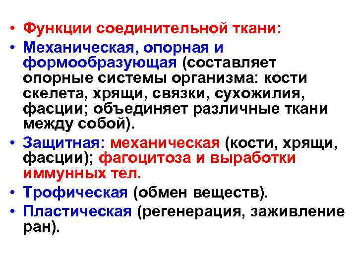  • Функции соединительной ткани: • Механическая, опорная и формообразующая (составляет опорные системы организма: