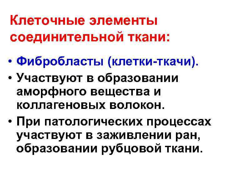 Клеточные элементы соединительной ткани: • Фибробласты (клетки-ткачи). • Участвуют в образовании аморфного вещества и