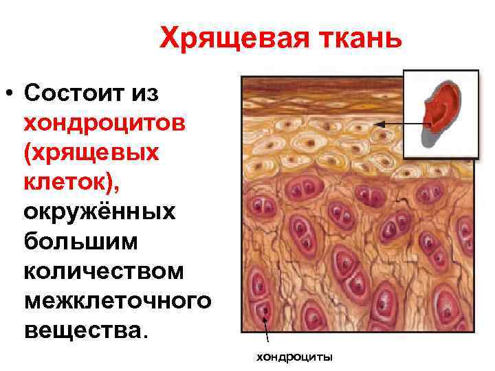 Способ создания изображений когда на бумагу ткань или другую основу накладывают и приклеивают