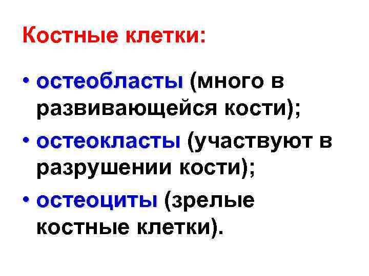 Костные клетки: • остеобласты (много в развивающейся кости); • остеокласты (участвуют в разрушении кости);