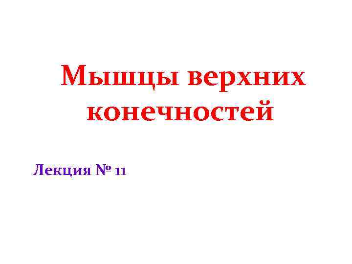 Мышцы верхних конечностей Лекция № 11 