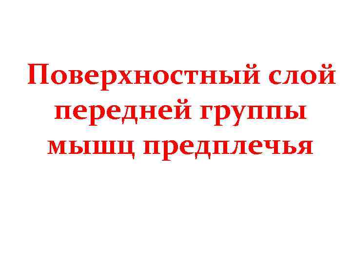 Поверхностный слой передней группы мышц предплечья 