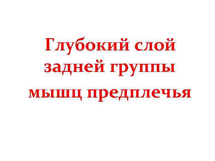 Глубокий слой задней группы мышц предплечья 