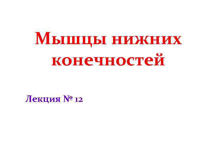 Мышцы нижних конечностей Лекция № 12 