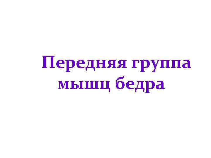 Передняя группа мышц бедра 