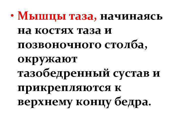  • Мышцы таза, начинаясь на костях таза и позвоночного столба, окружают тазобедренный сустав