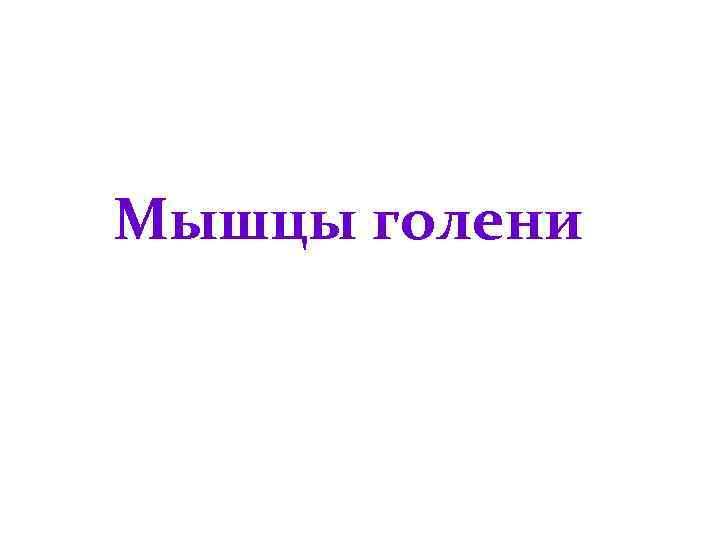 Мышцы голени 