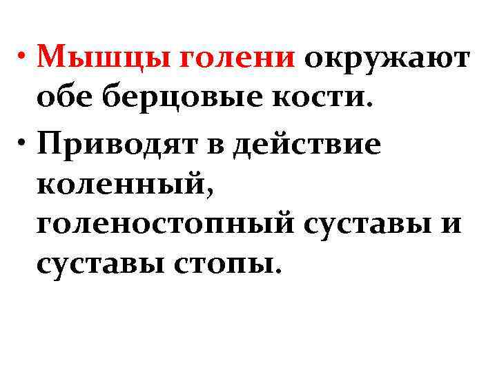  • Мышцы голени окружают обе берцовые кости. • Приводят в действие коленный, голеностопный