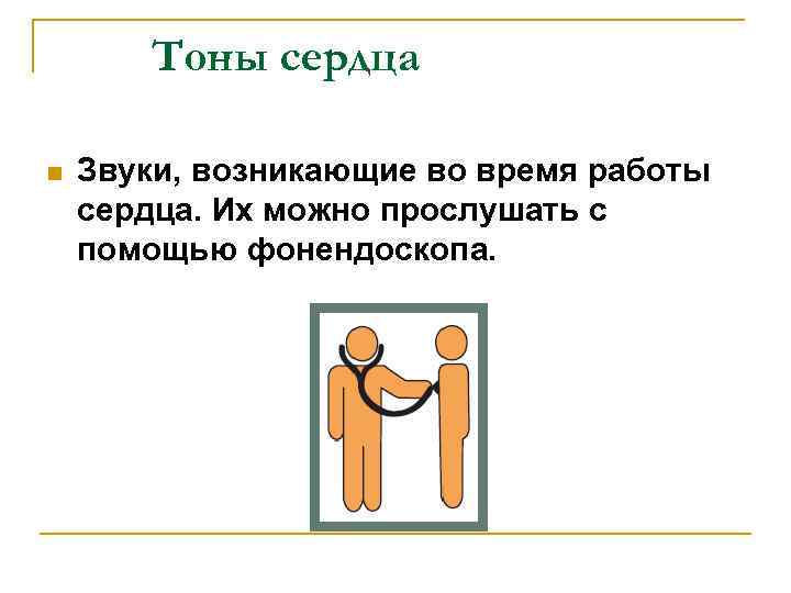 Тоны сердца n Звуки, возникающие во время работы сердца. Их можно прослушать с помощью