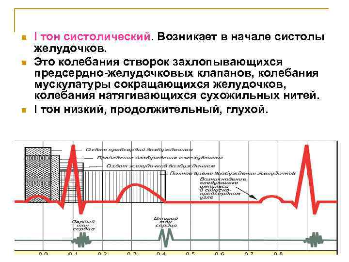 Низкий тон. Систолический тон. 1 Тон систолический. Систолический тон возникает при. I тон систолический.