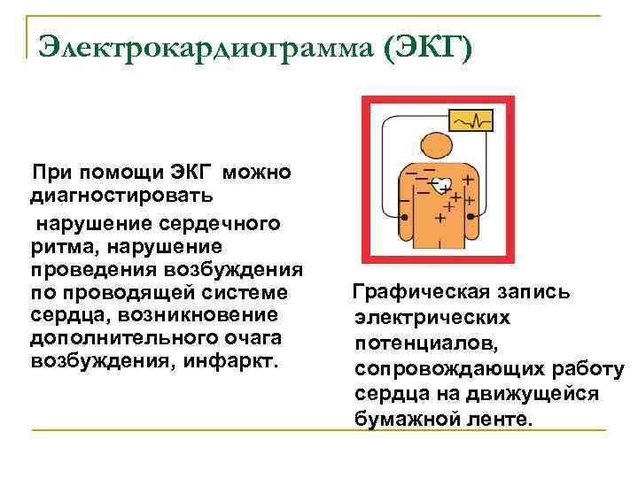 Электрокардиограмма (ЭКГ) При помощи ЭКГ можно диагностировать нарушение сердечного ритма, нарушение проведения возбуждения по