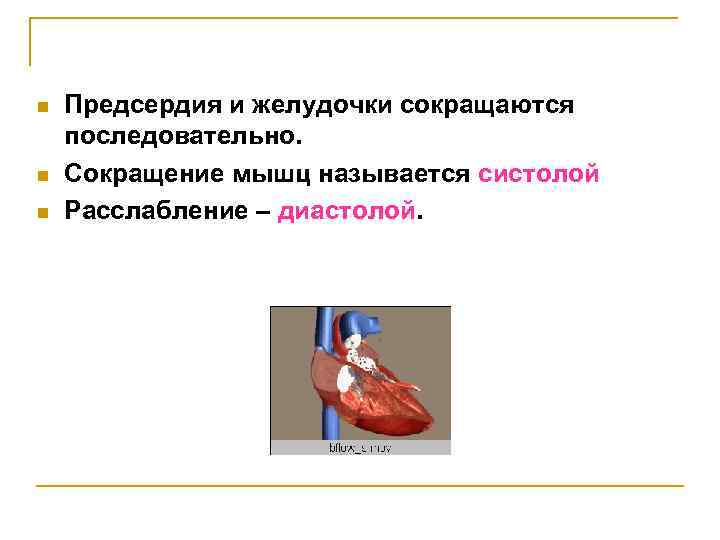 n n n Предсердия и желудочки сокращаются последовательно. Сокращение мышц называется систолой Расслабление –