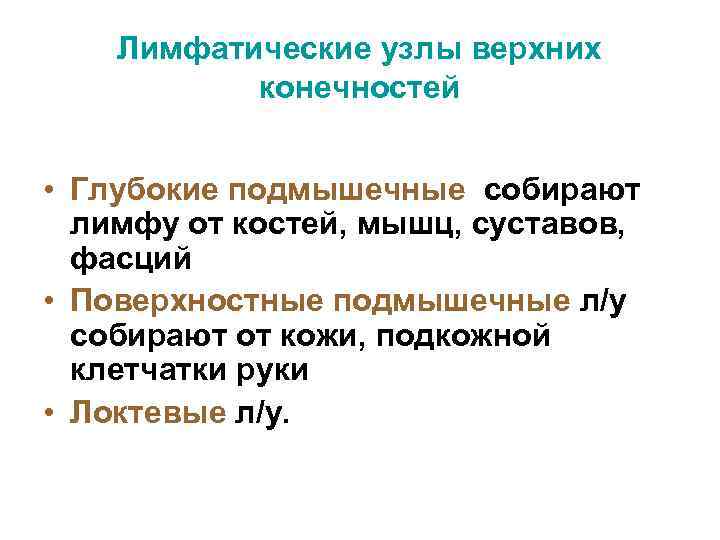 Лимфатические узлы верхних конечностей • Глубокие подмышечные собирают лимфу от костей, мышц, суставов, фасций