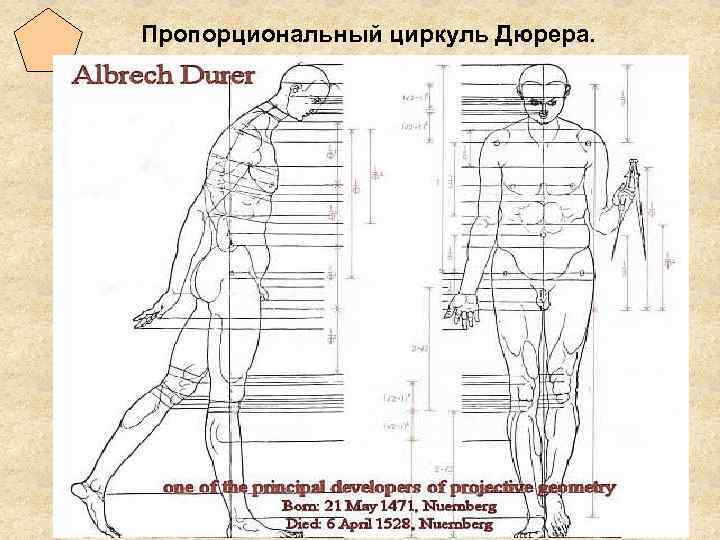 Пропорциональный циркуль своими руками чертежи