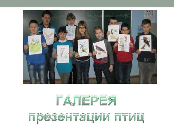 ГАЛЕРЕЯ презентации птиц 