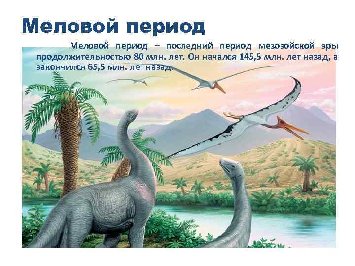 Меловой период – последний период мезозойской эры продолжительностью 80 млн. лет. Он начался 145,