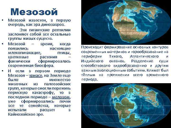 Мезозой известен, в первую очередь, как эра динозавров. Эти гигантские рептилии заслоняют собой все