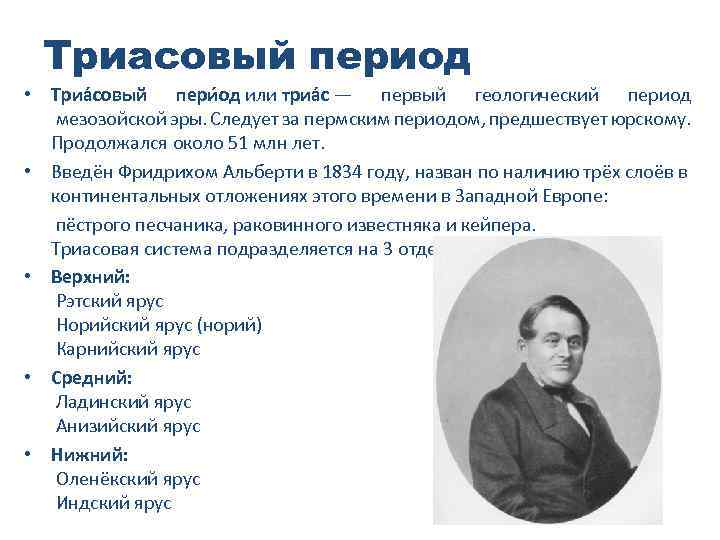 Триасовый период • Триа совый пери од или триа с — первый геологический период