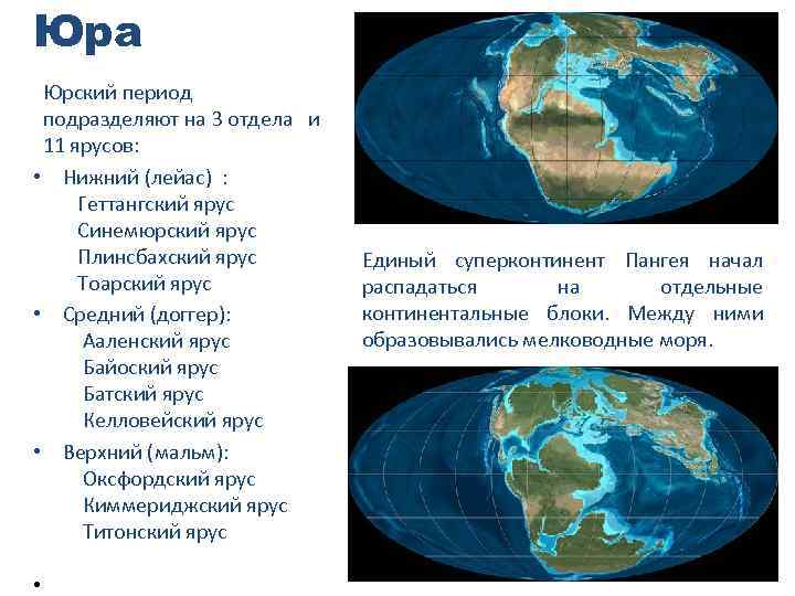 Юра Юрский период подразделяют на 3 отдела и 11 ярусов: • Нижний (лейас) :