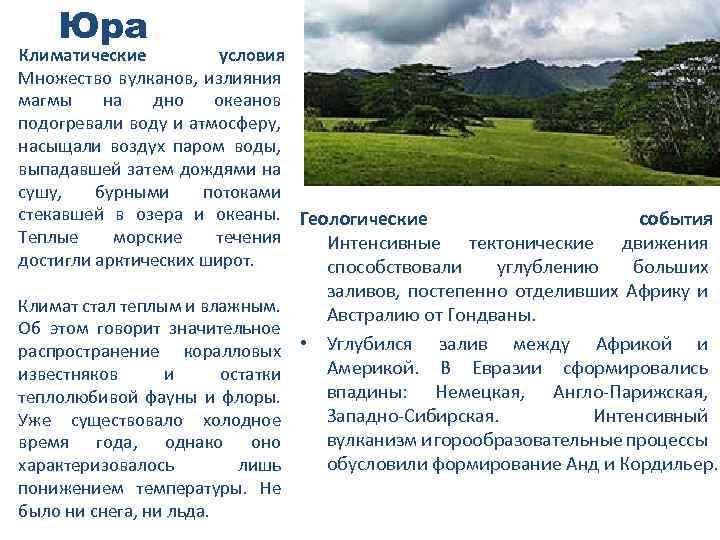 Юра Климатические условия Множество вулканов, излияния магмы на дно океанов подогревали воду и атмосферу,