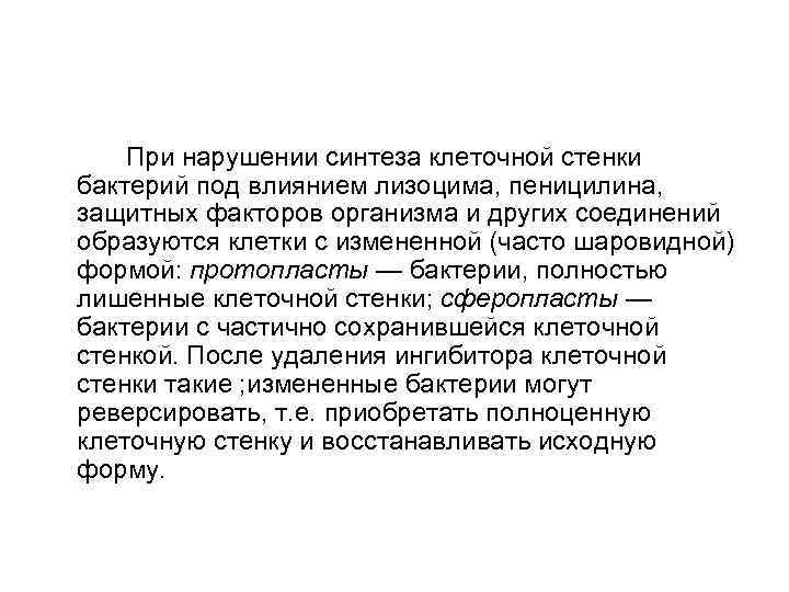 При нарушении синтеза клеточной стенки бактерий под влиянием лизоцима, пеницилина, защитных факторов организма и