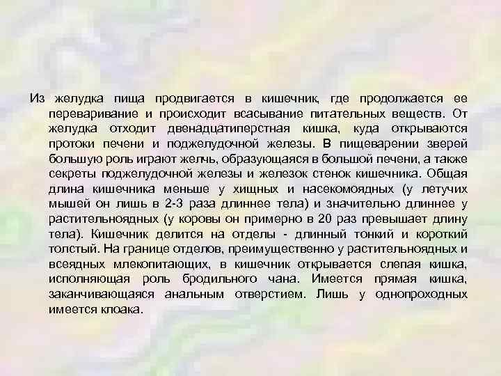 Из желудка пища продвигается в кишечник, где продолжается ее переваривание и происходит всасывание питательных