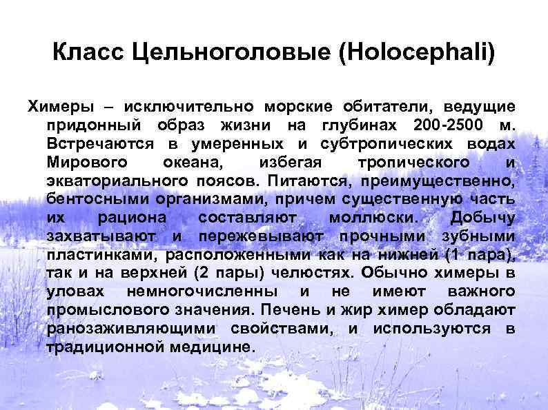 Класс Цельноголовые (Holocephali) Химеры – исключительно морские обитатели, ведущие придонный образ жизни на глубинах