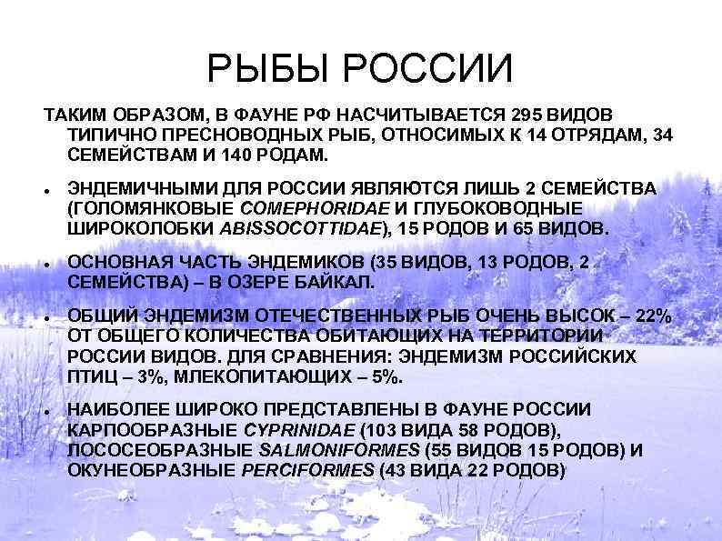 РЫБЫ РОССИИ ТАКИМ ОБРАЗОМ, В ФАУНЕ РФ НАСЧИТЫВАЕТСЯ 295 ВИДОВ ТИПИЧНО ПРЕСНОВОДНЫХ РЫБ, ОТНОСИМЫХ