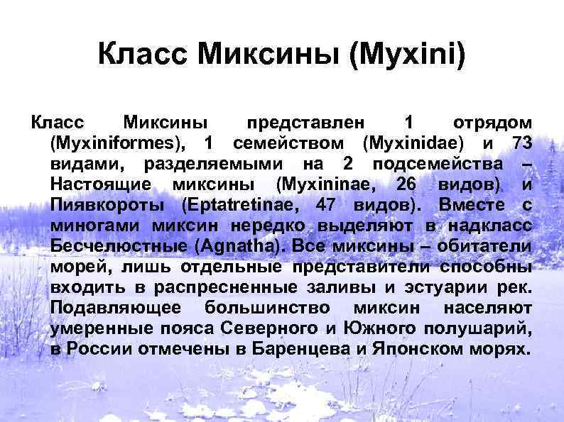 Класс Миксины (Myxini) Класс Миксины представлен 1 отрядом (Myxiniformes), 1 семейством (Myxinidae) и 73