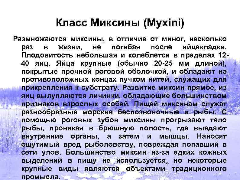 Класс Миксины (Myxini) Размножаются миксины, в отличие от миног, несколько раз в жизни, не