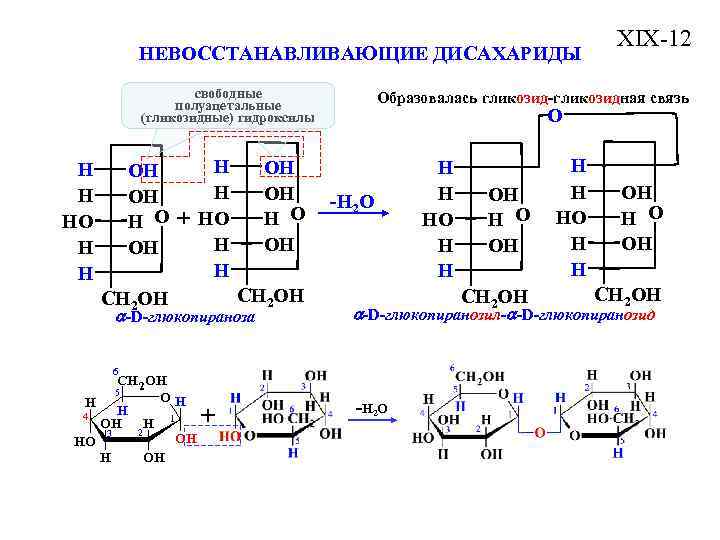 Общая схема превращений э э2о эон соответствует генетическому ряду