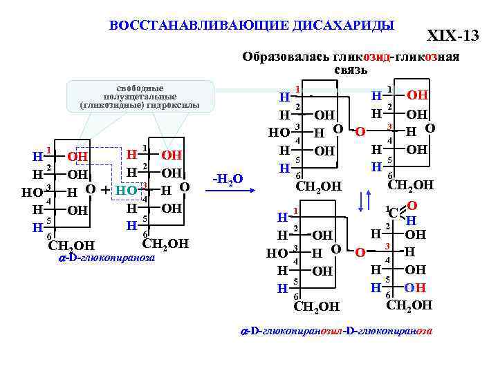 Общая схема превращений э э2о эон соответствует генетическому ряду