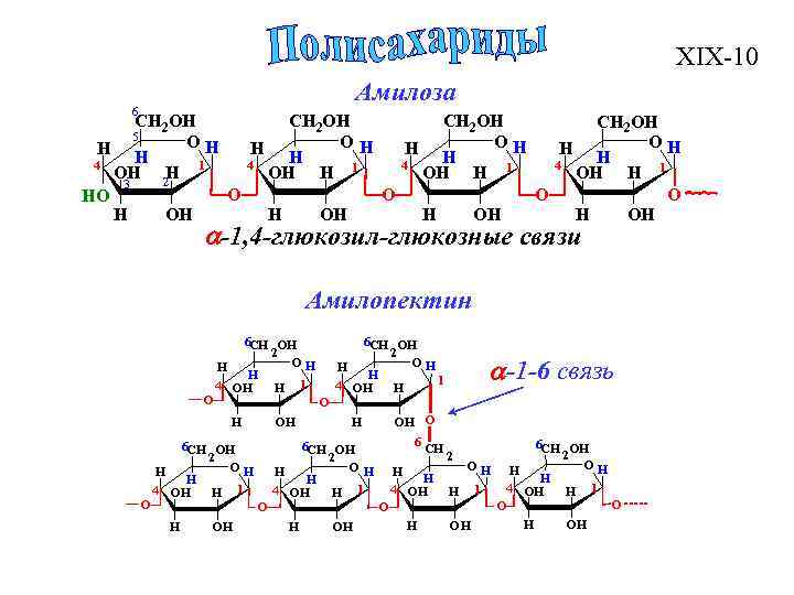 Общая схема превращений э э2о эон соответствует генетическому ряду