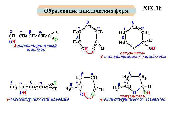 Общая схема превращений э э2о эон соответствует генетическому ряду