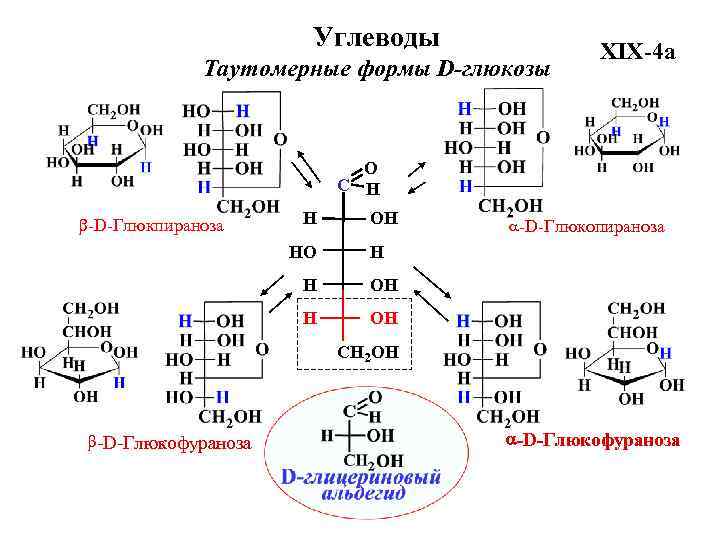 Фруктоза взаимодействует с. Схема таутомерных превращений d-Глюкозы. Схема таутомерных превращений d-маннозы. Таутомерные формы d-маннозы. Таутомерные превращения l Глюкозы.