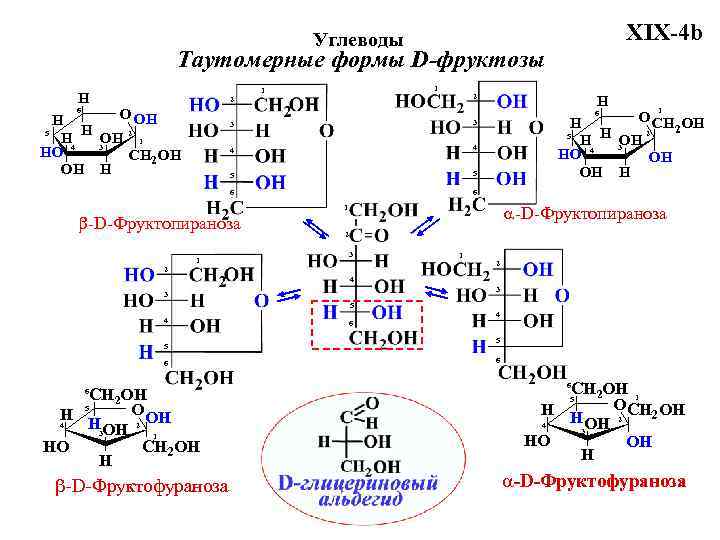 Генетическому ряду соответствует схема превращений