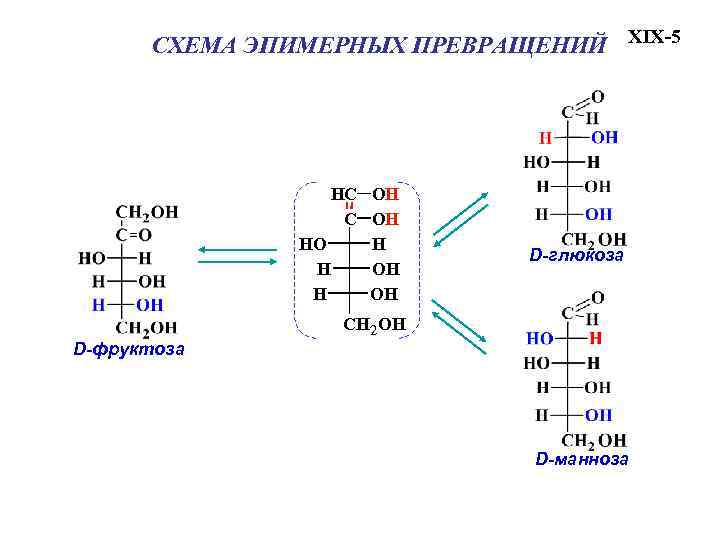 Схема генетического ряда fe h2 hcl