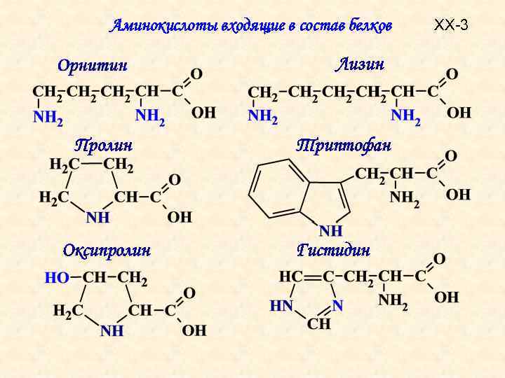 Треонин триптофан