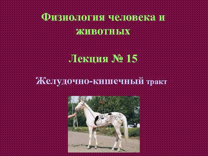 Физиология человека и животных Лекция № 15 Желудочно-кишечный тракт 