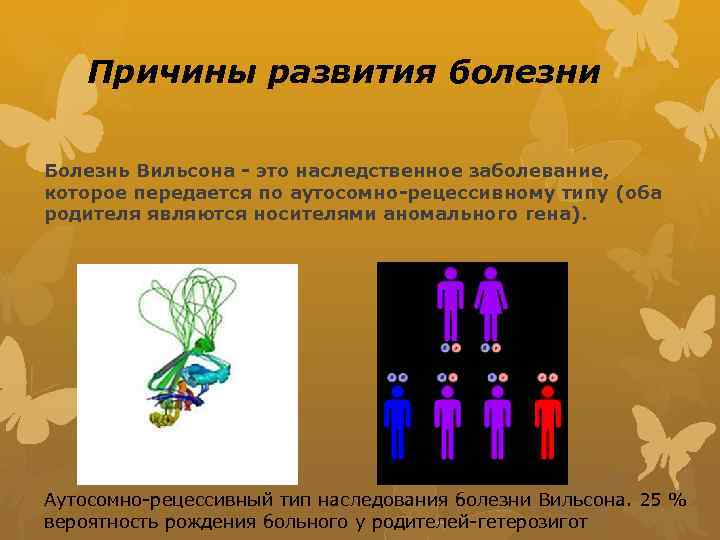 Причины развития болезни Болезнь Вильсона - это наследственное заболевание, которое передается по аутосомно-рецессивному типу