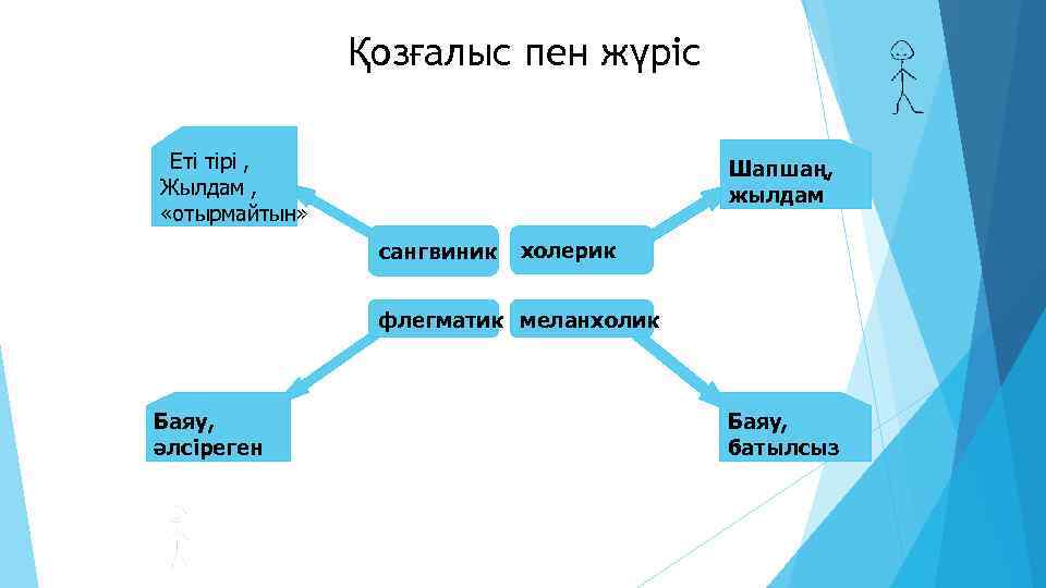 Қозғалыс пен жүріс Еті тірі , Жылдам , «отырмайтын» Шапшаң, жылдам сангвиник холерик флегматик