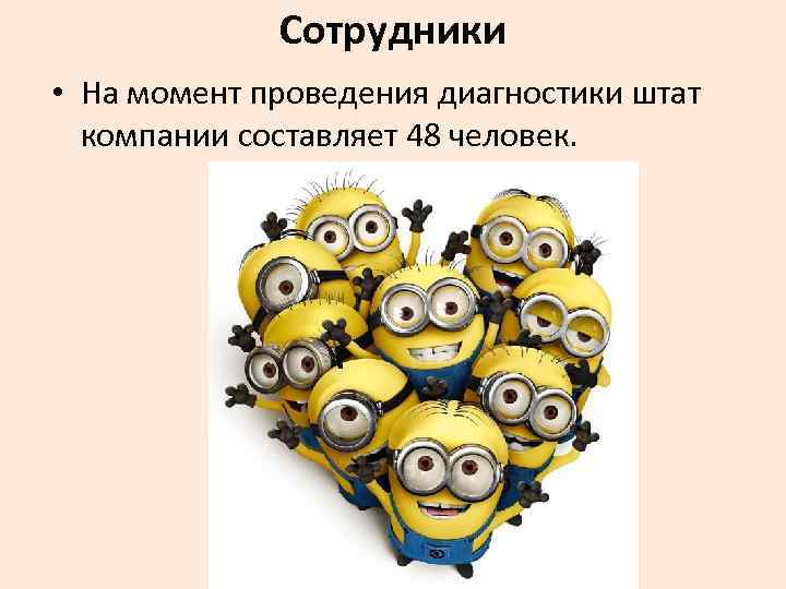 Сотрудники • На момент проведения диагностики штат компании составляет 48 человек. 