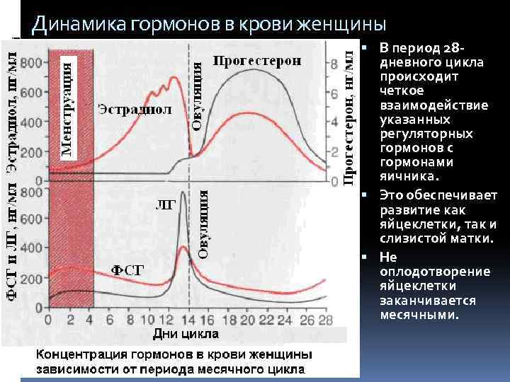 Динамика гормонов в крови женщины В период 28 дневного цикла происходит четкое взаимодействие указанных
