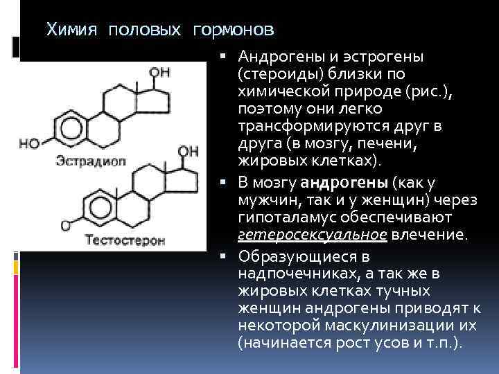 Половые гормоны фото